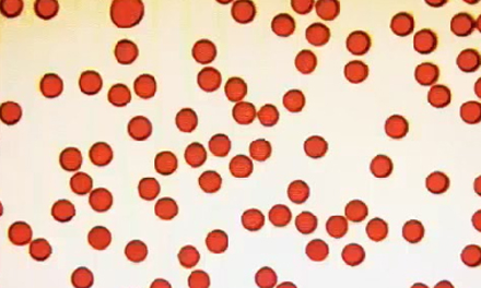 Colored Microspheres