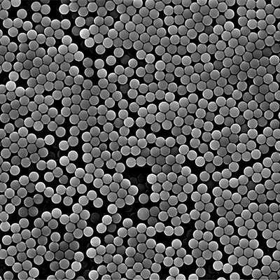 Carboxyl-Magnetic-Beads