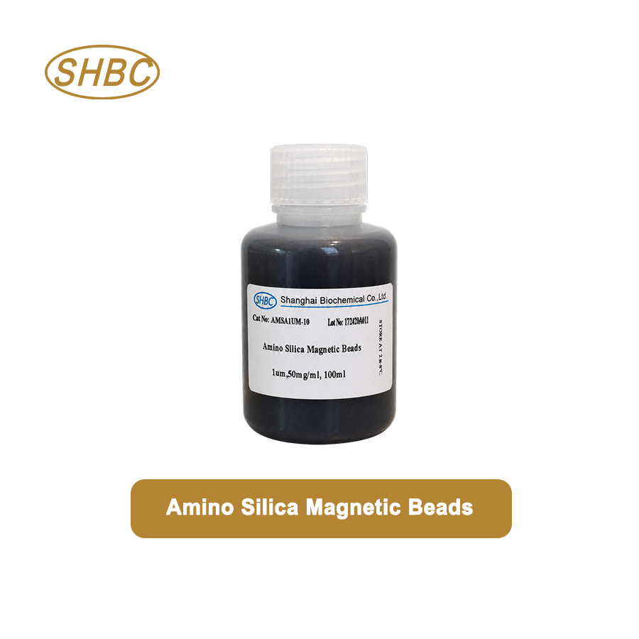 AMSA1UM-10 1μm Amino Magnetic Silica Beads 5% Suspension