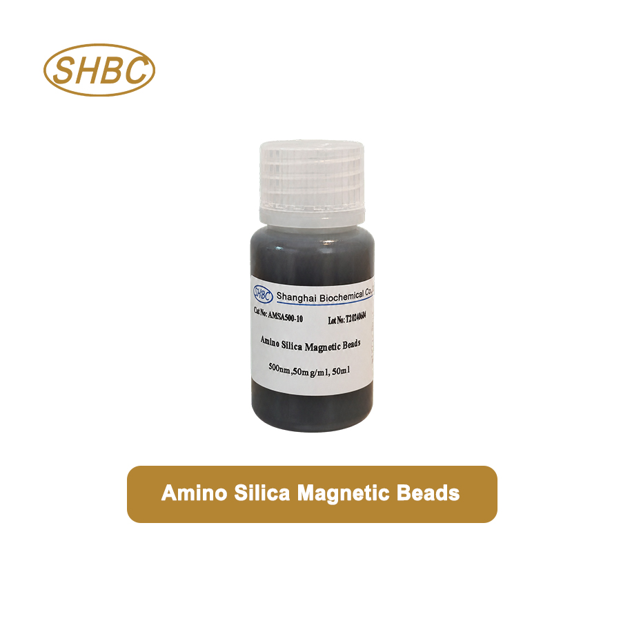AMSA500-10 500nm Amino Magnetic Silica Beads 5% Suspension