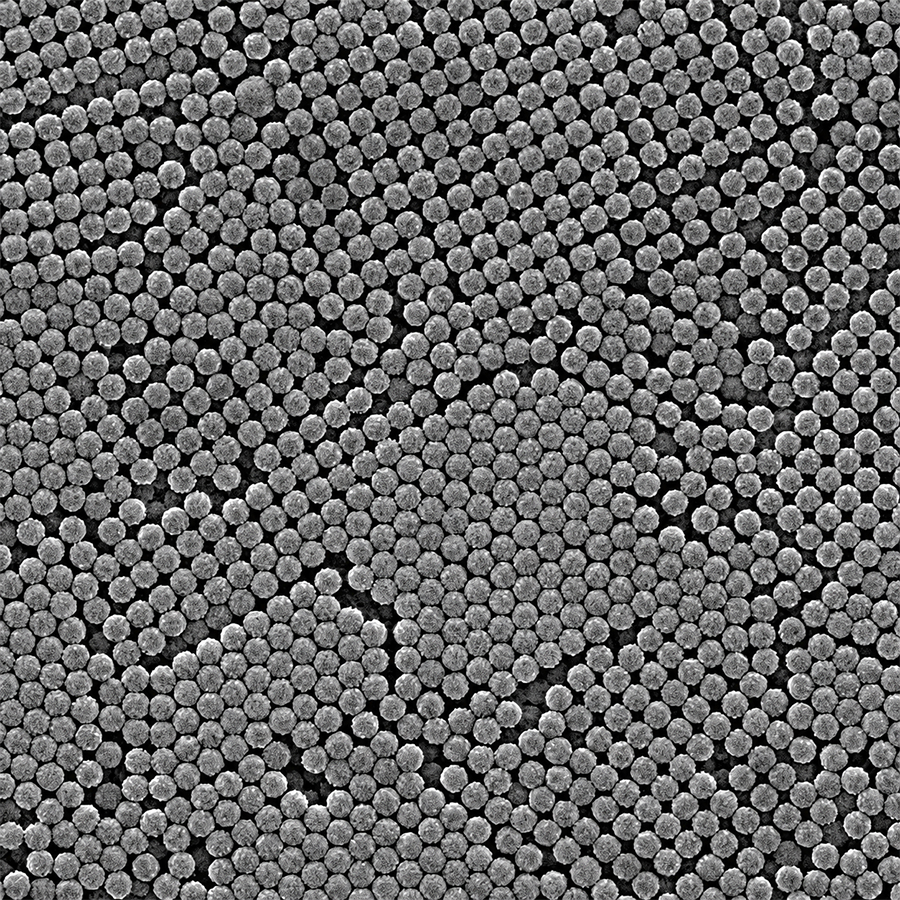 PMMA10UM-10 10μm Crosslinked PMMA Microspheres for Porogen and Polymer Research