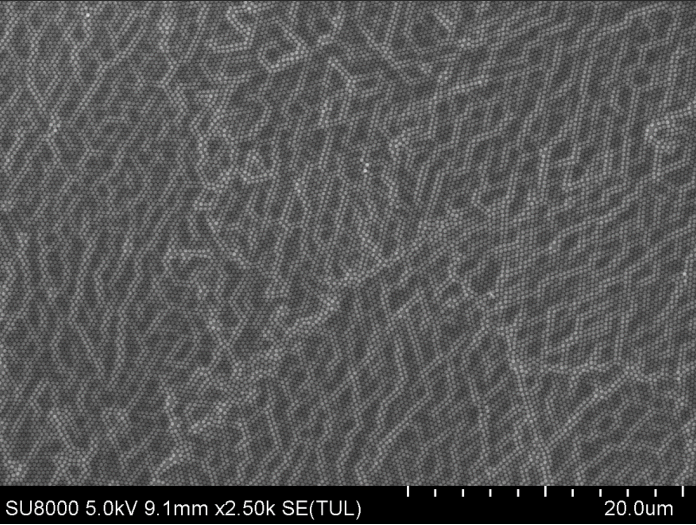 Particle Size Distribution Diagram of 300 nm Carboxyl Microspheres.png