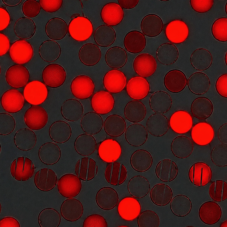 CFR10UM-10 10μm Carboxyl Red Fluorescent Microspheres 1% Suspension