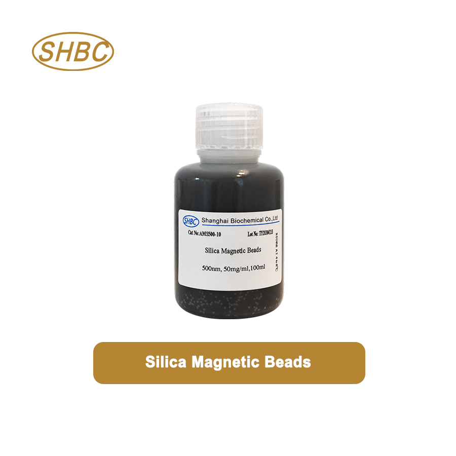 AMS500-10 500nm Magnetic Silica Nanoparticles 5% Suspension