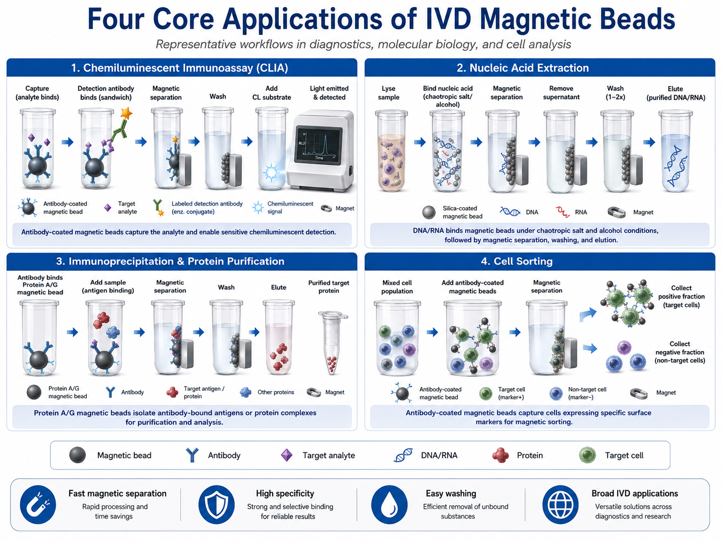 Major application scenarios of IVD magnetic beads-3.png