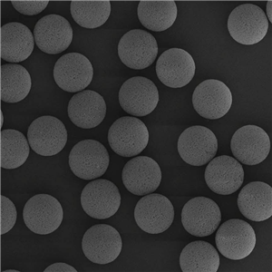 TopGFCL-4B Cross-Linked Gel Filtration Media 90um