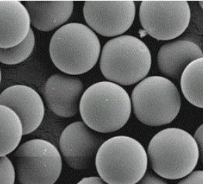Agarose Series Gel Filter Packing CL-6B TopGF CL-6B 90um