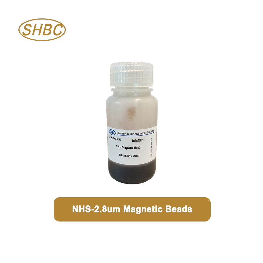 2.8um NHS Magnetic Beads MagNHS2.8UM-10 5%