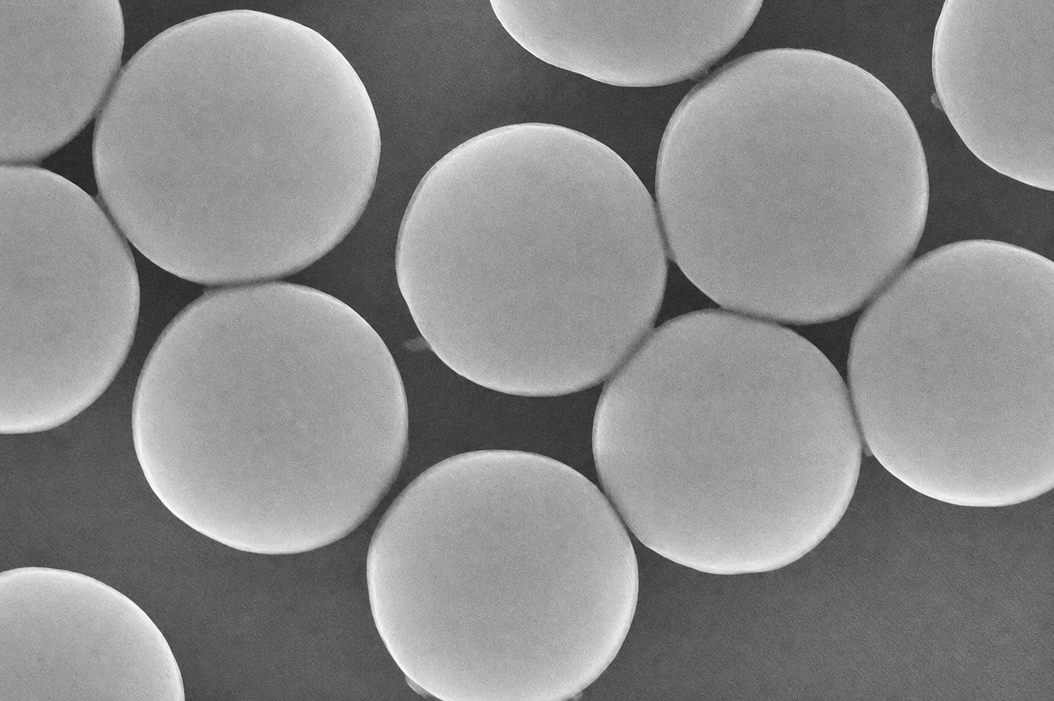 200 NHS Magnetic Beads MagNHS200-10 5%