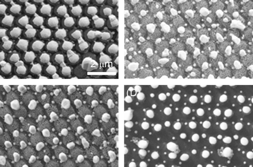 200nm Special Standard Microspheres for Photonic Crystals COOH SCP200NM-10 5%