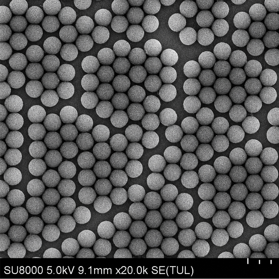SiS100NM-10 Standard Silica Microspheres 100nm