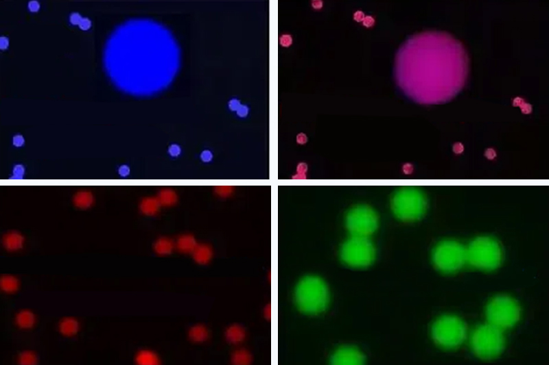 Microspheres-for-IVD-&-POCT