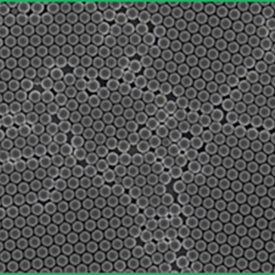 ivd-magnetic-beads-sem.jpg