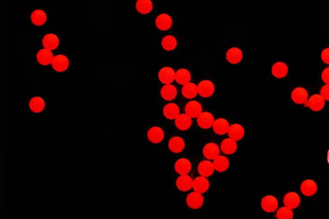 Flow Cytometry Fluorescent Microspheres Profiles