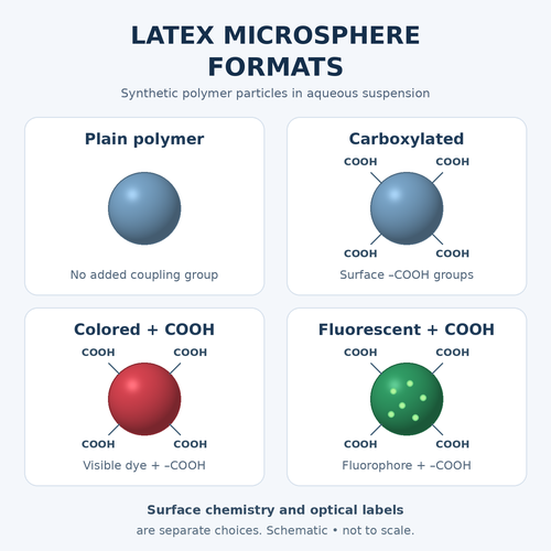 latex-microsphere-formats.png