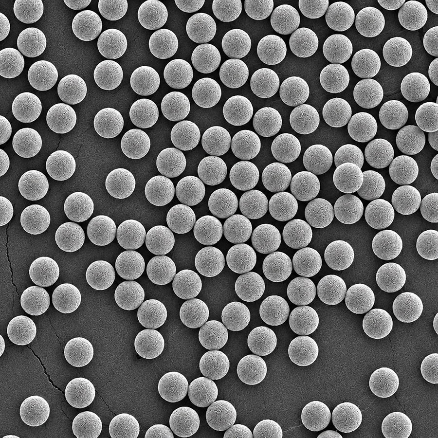 PMMAC20UM-10 20μm Carboxyl PMMA Microspheres for Protein and Antibody Coupling