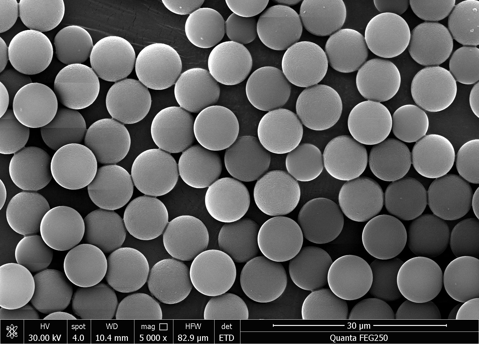1UM Nickel Magnetic Beads MagNi1UM-10 5%