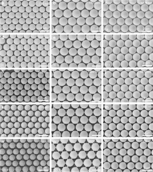 SHBC-Polystyrene-Microspheres.jpg