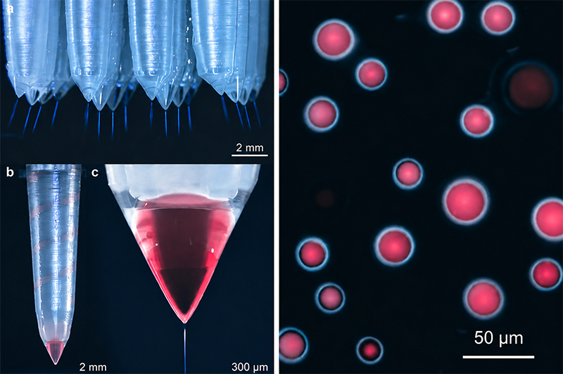 Custom-Fluorescence-