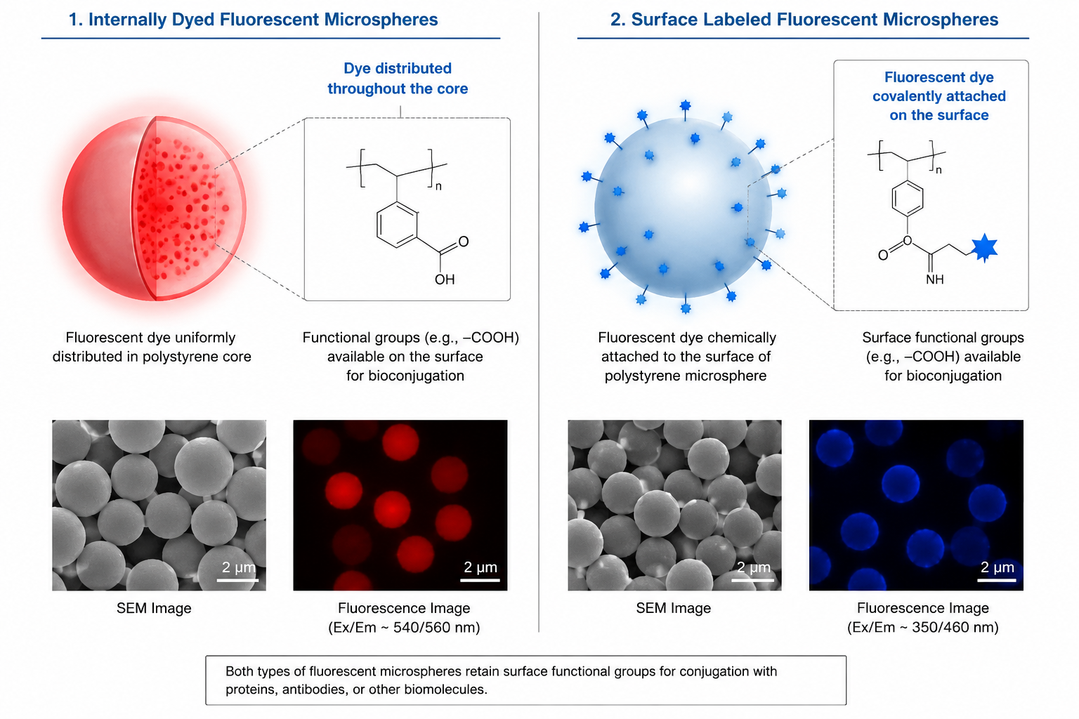 Schematic of fluorescent microsphere structures-1.png