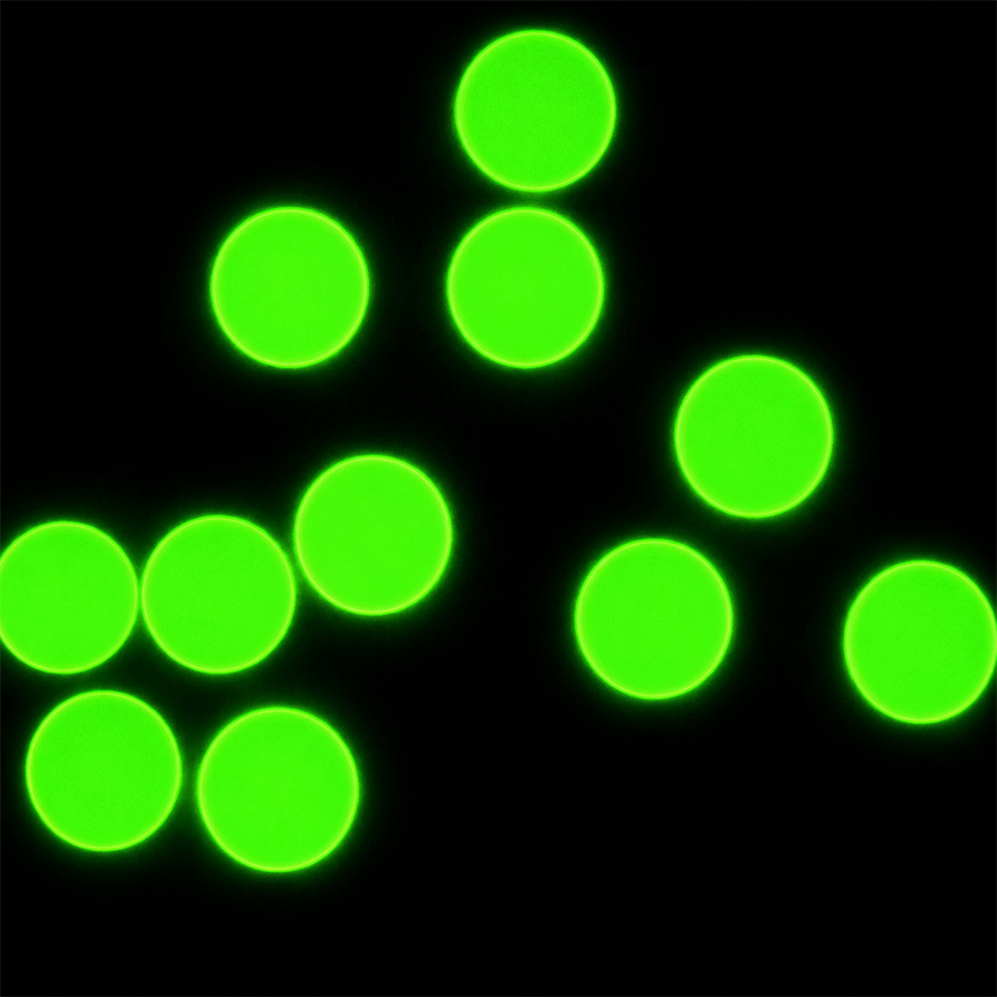 10um Carboxyl Green-Fluo Microspheres CFG10UM-10