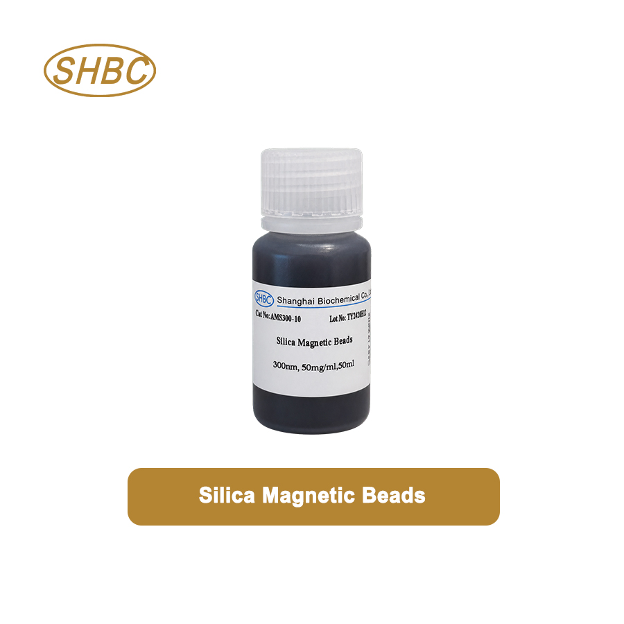 AMS300-10 300nm Magnetic Silica Nanoparticles 5% Suspension