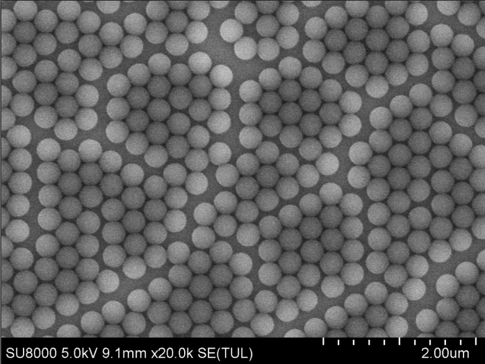Particle Size Distribution Diagram of 300 nm Carboxyl Microspheres.png