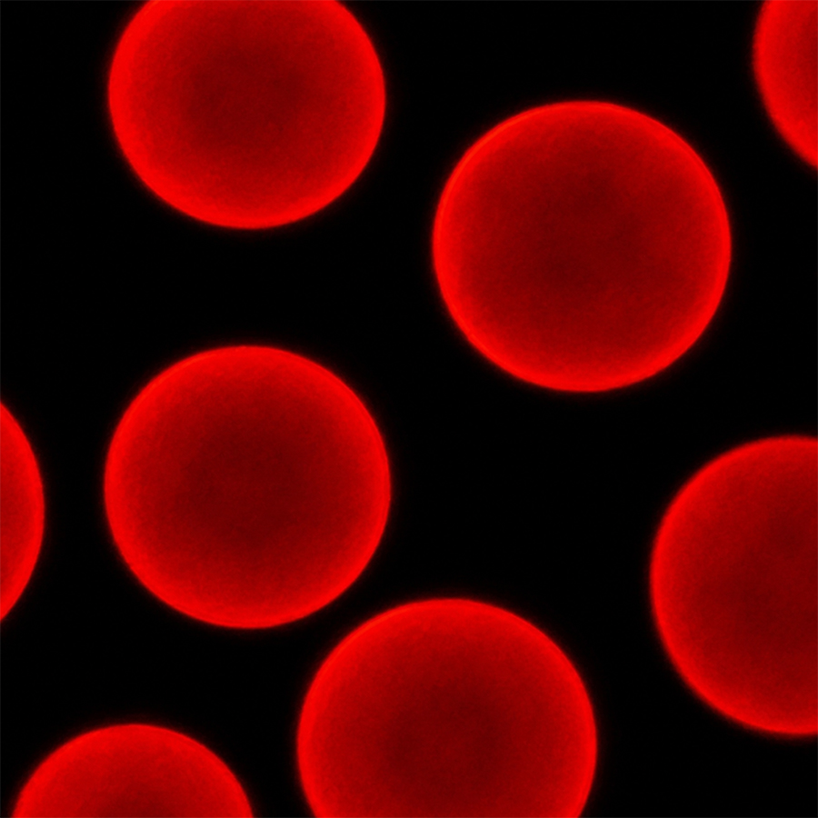 8um Carboxyl Red-Fluo Microspheres CFR8UM-10
