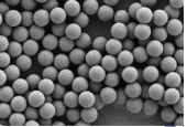 carboxylate-modified-polystyrene-latex-beads-sem.jpg