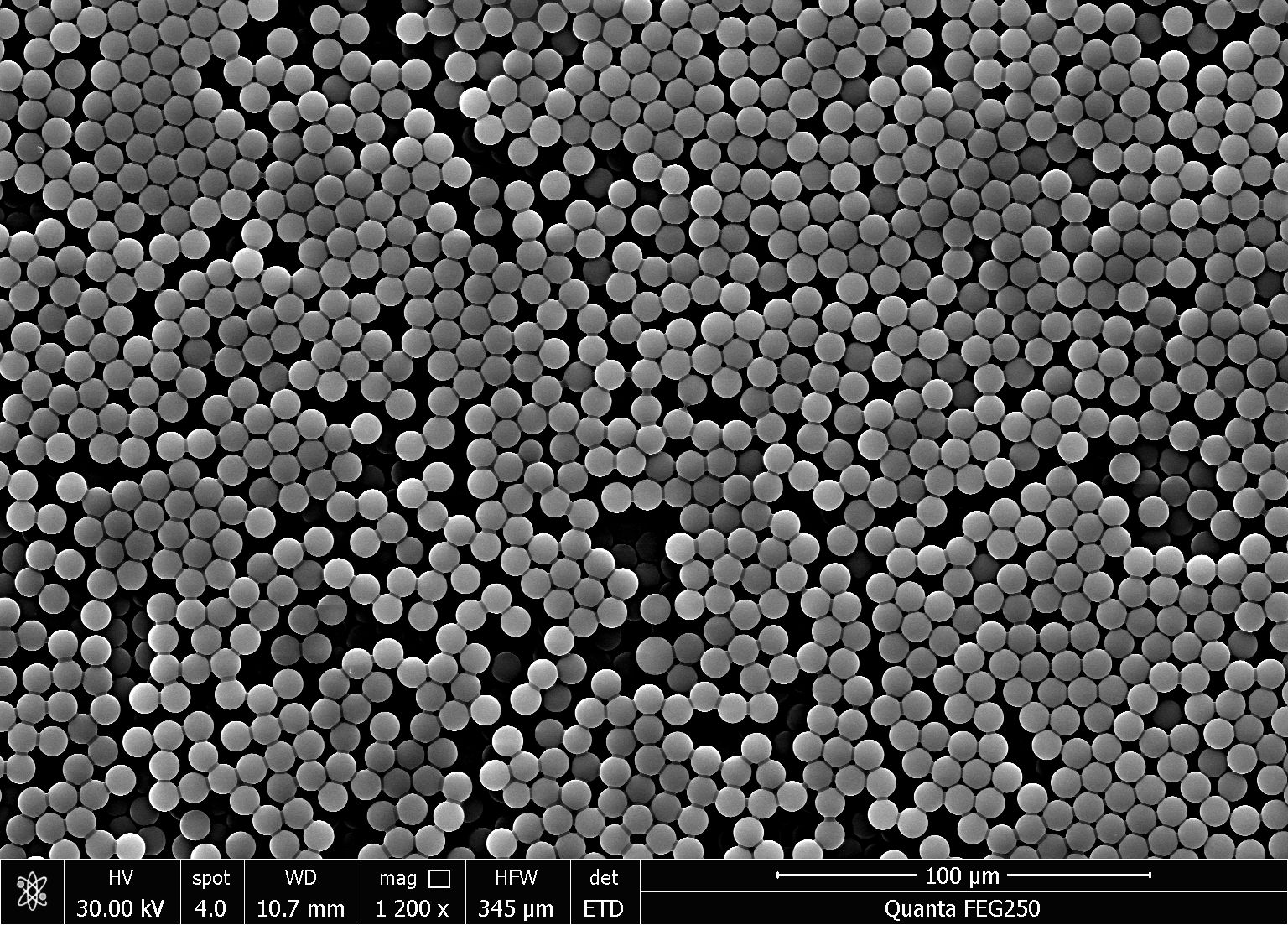 MagCOOH100NM Carboxyl Magnetic Beads