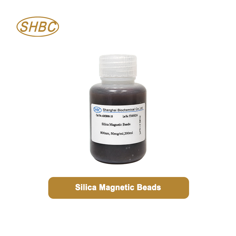 AMS800-10 800nm Silica Magnetic Beads for DNA RNA Extraction and Biomolecule Purification