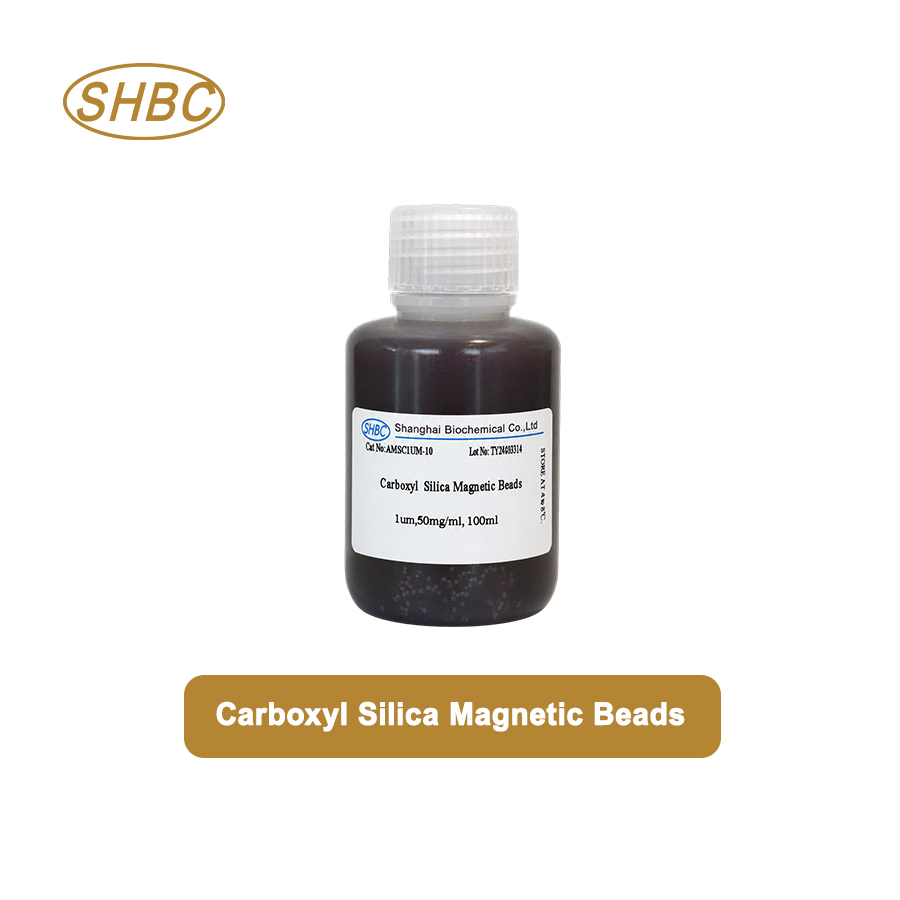 AMSC1UM-10 1μm Carboxyl Magnetic Silica Beads 5% Suspension