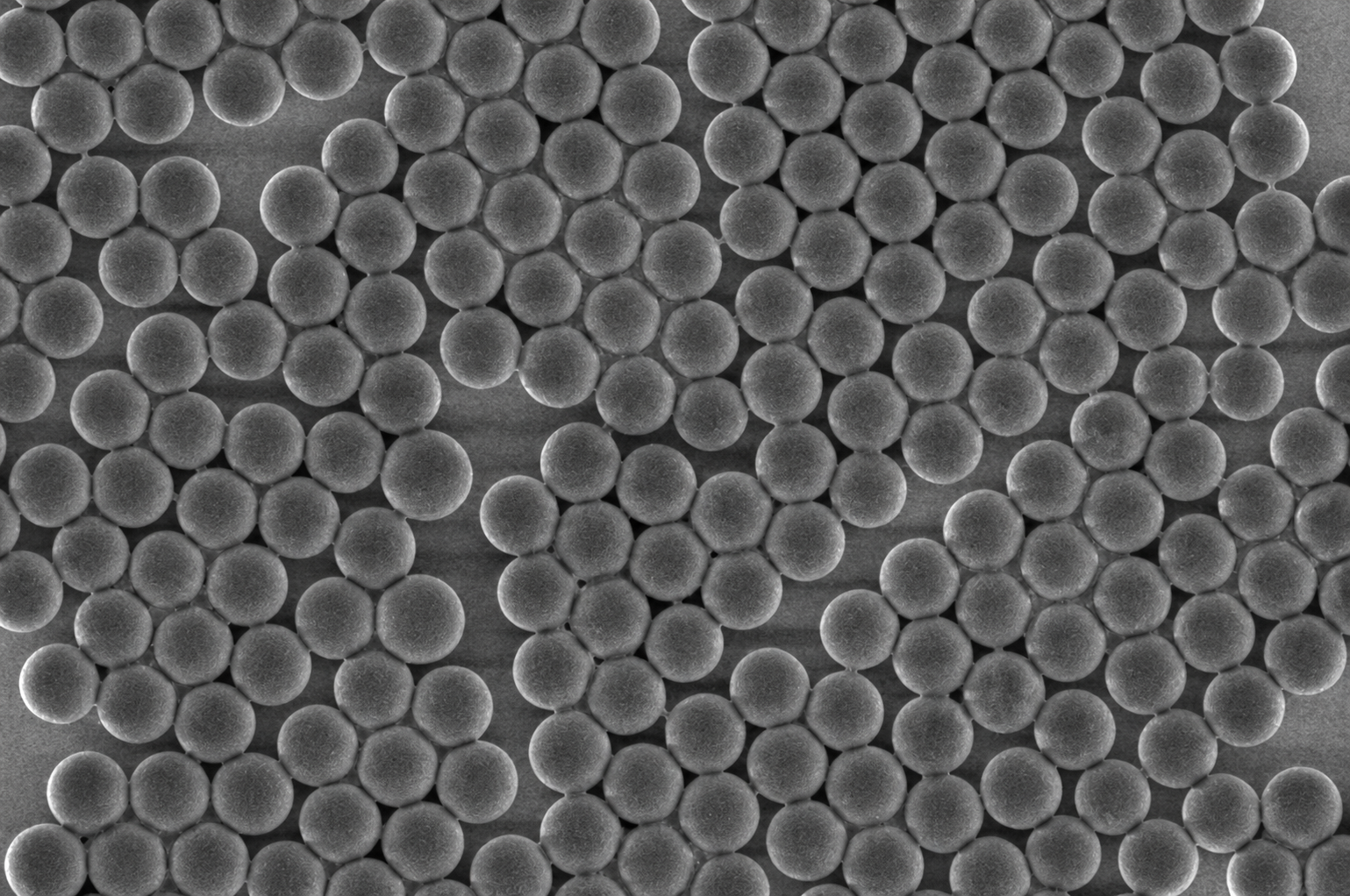 300nm Red Blood Cell Sorting Magnetic Beads MCS300NM-10 5%