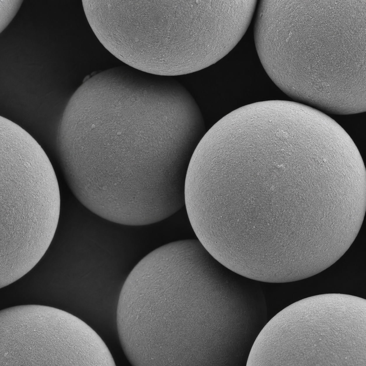 50um Streptavidin Microspheres SAPS50UM-10 1%