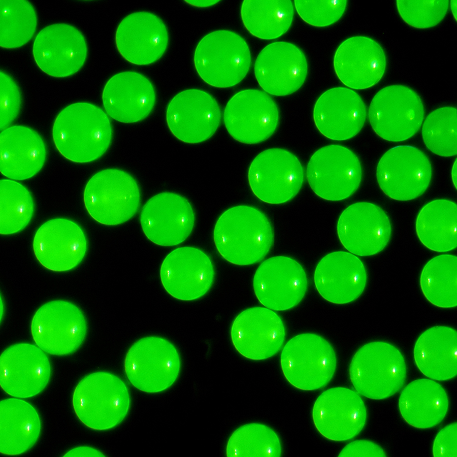 400nm Carboxyl Green-Fluo Microspheres CFG400-10 1%