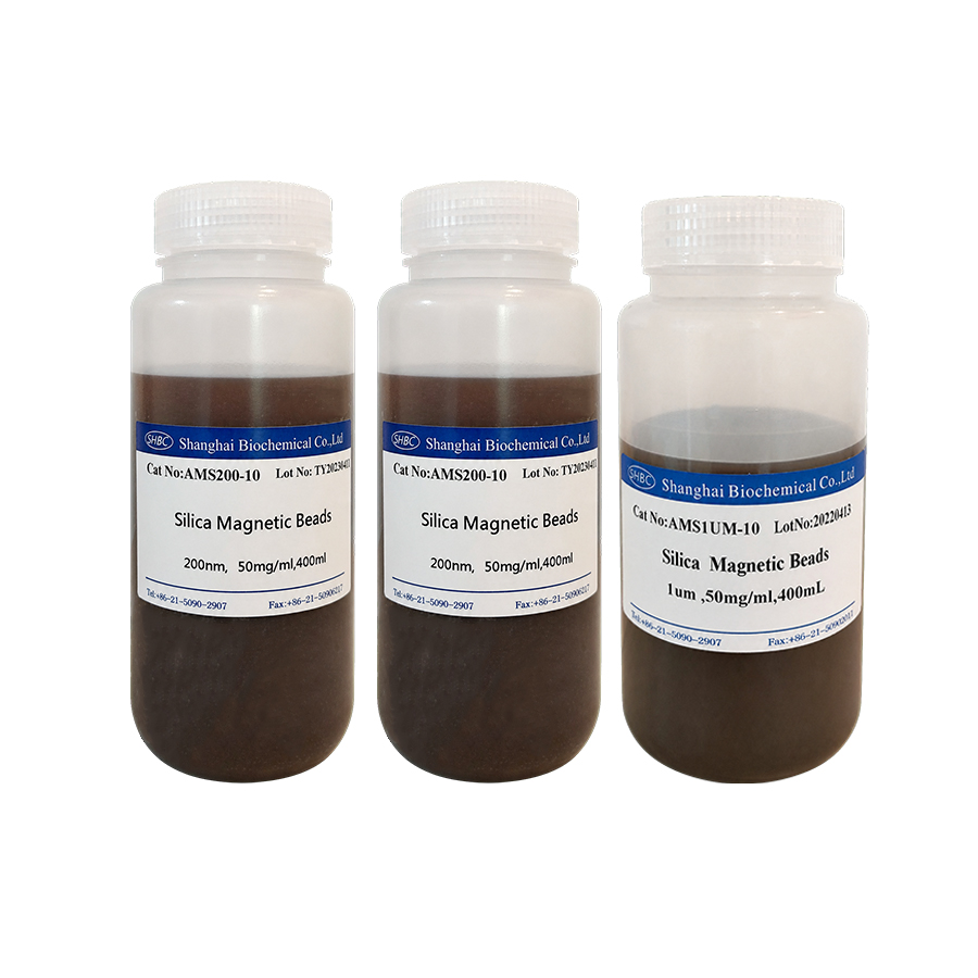silica magnetic beads for nucleic acid purification.jpg