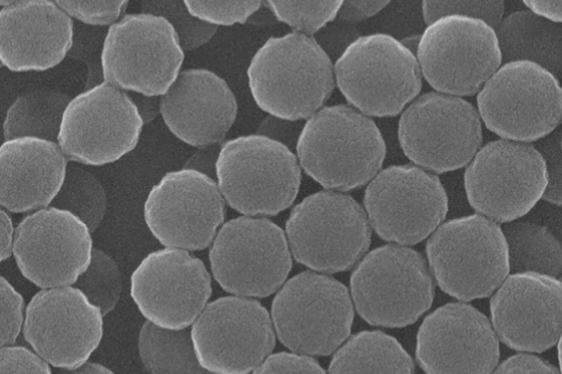 Standard-PMMA-Microspheres