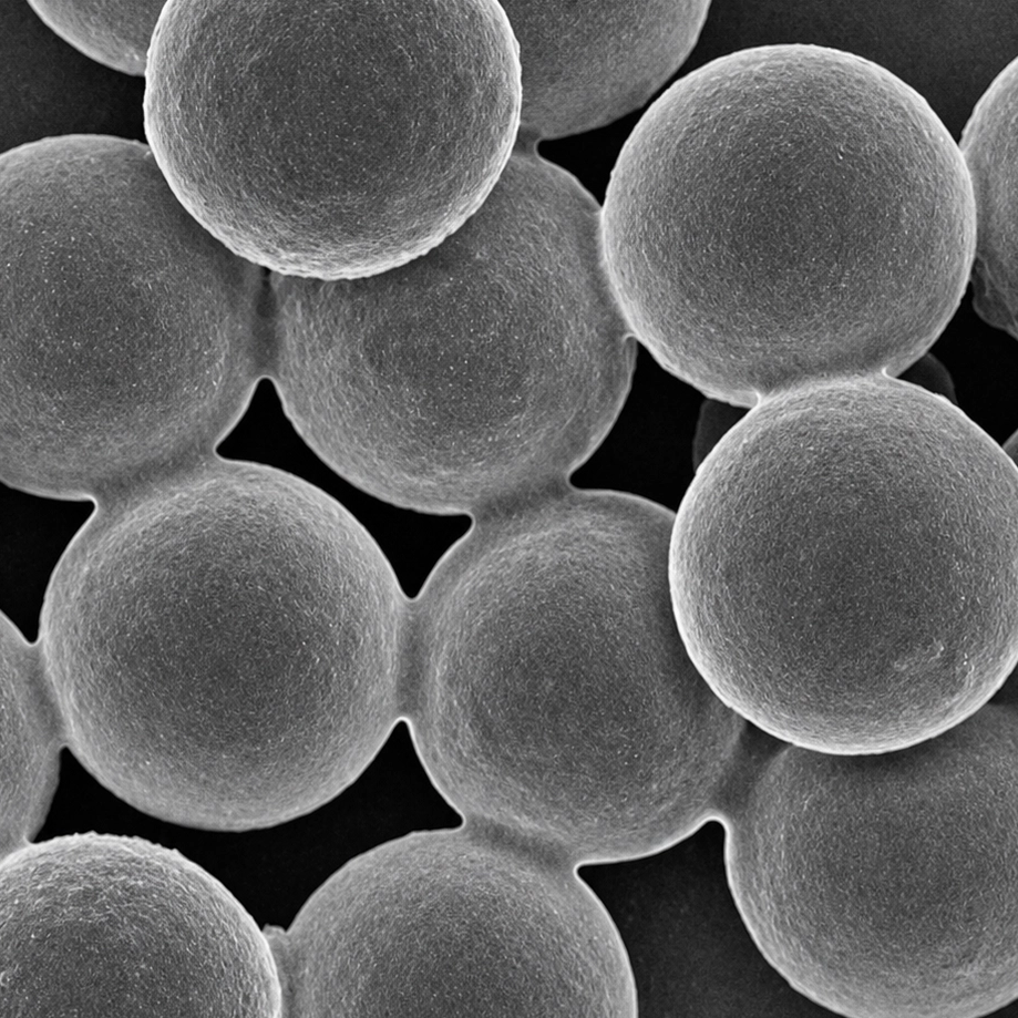 Top 10 IVD Magnetic Bead Manufacturers And Suppliers Serving The USA in 2026