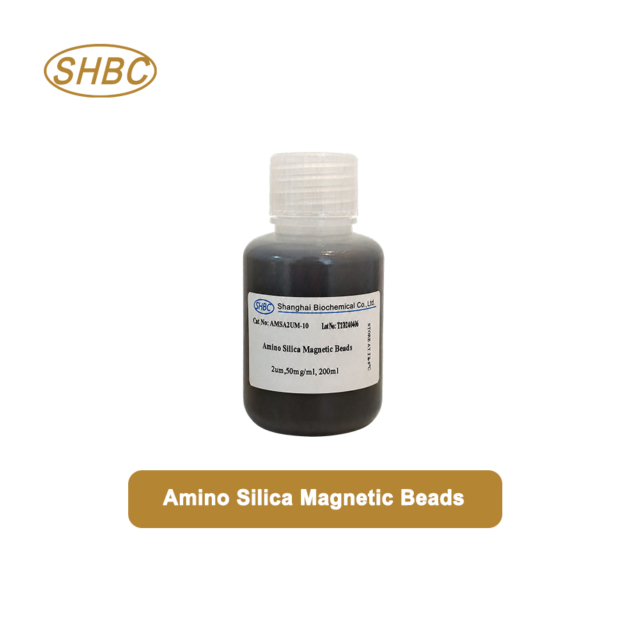 AMSA2UM-10 2μm Amino Magnetic Silica Beads 5% Suspension