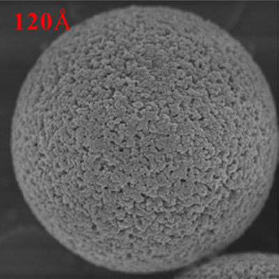 40um Porous Crosslinked PMMA Microspheres PM40UM-120A