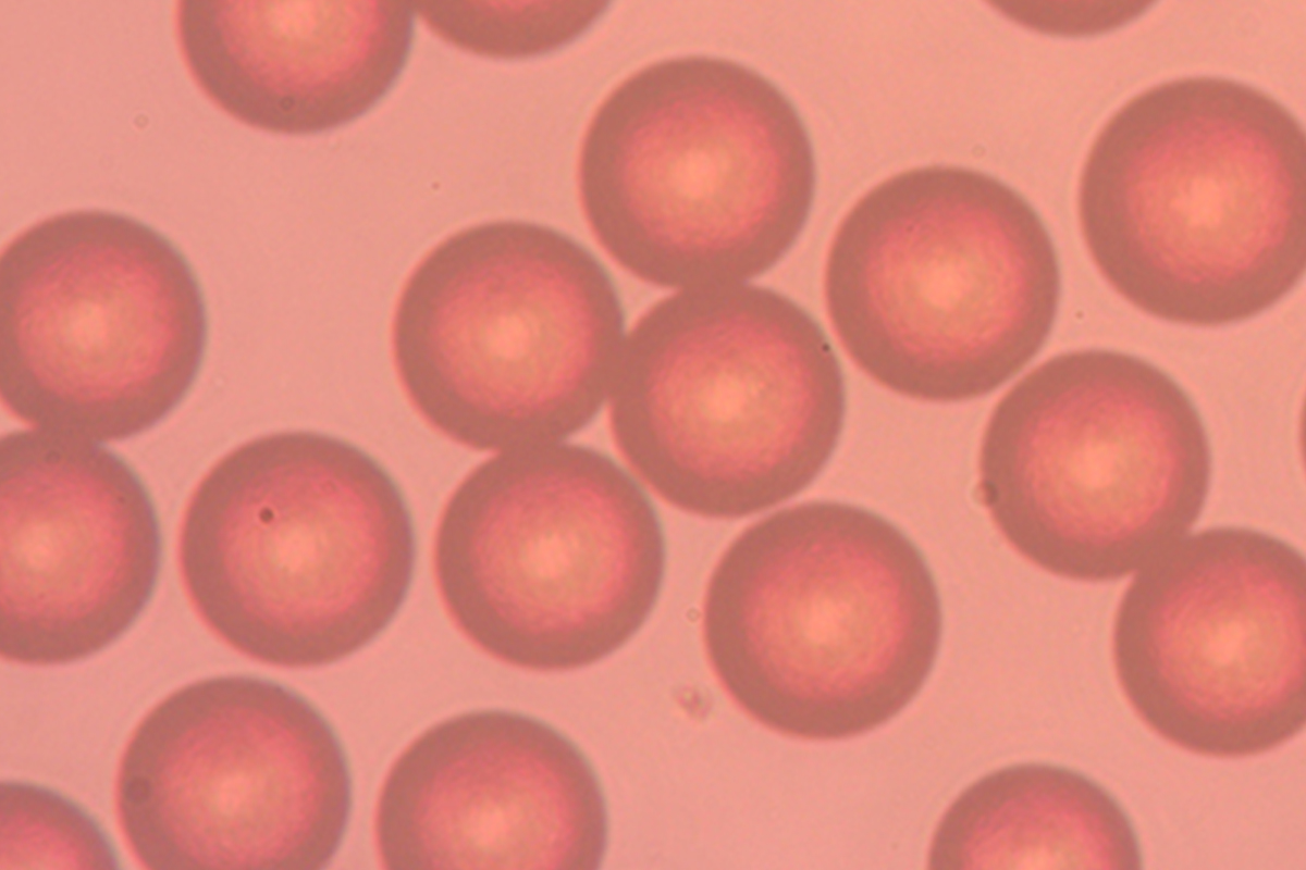 Chromatography-Packing-Microspheres