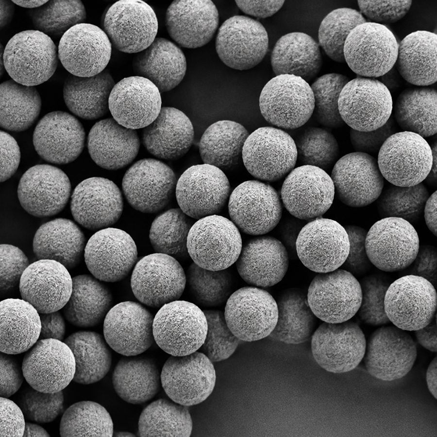 CP280-10 280nm Carboxyl Polystyrene Microspheres 10% Solids for Biomolecule Coupling