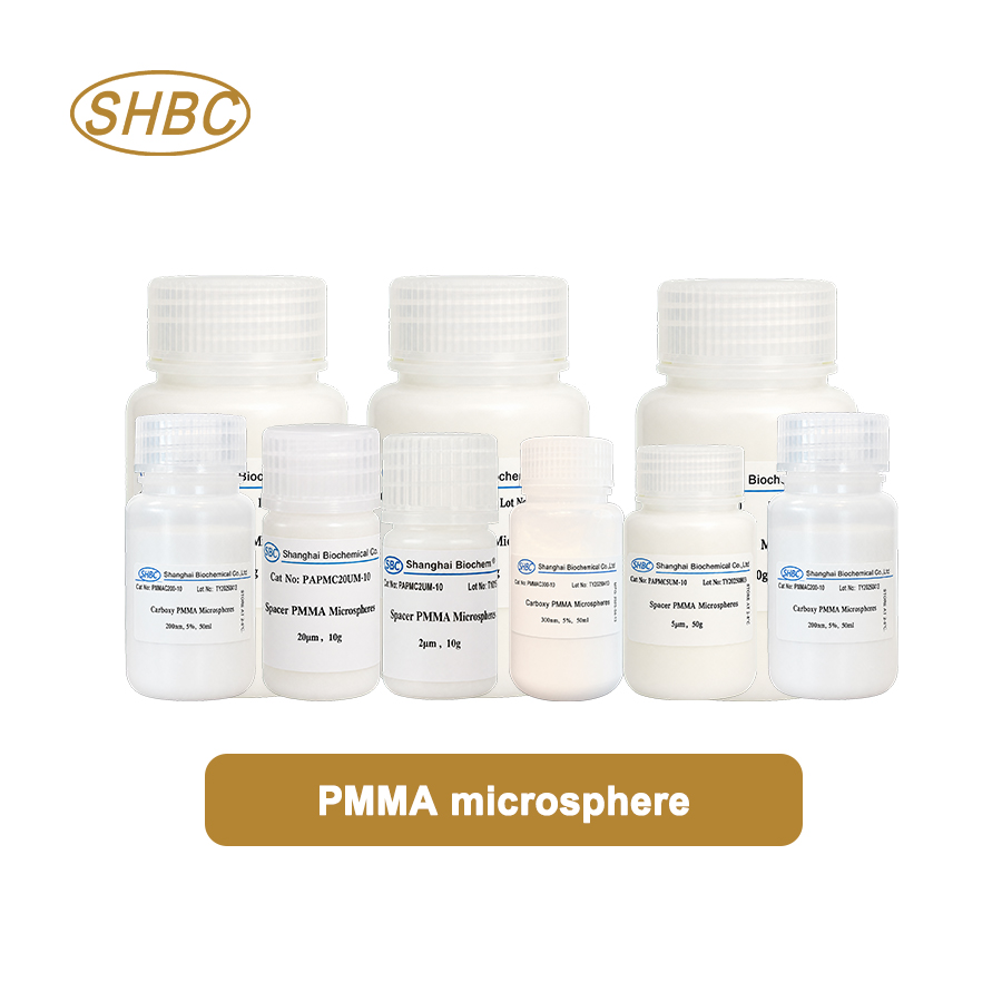 Top 10 PMMA Microsphere Manufacturers Serving Malaysia in 2026