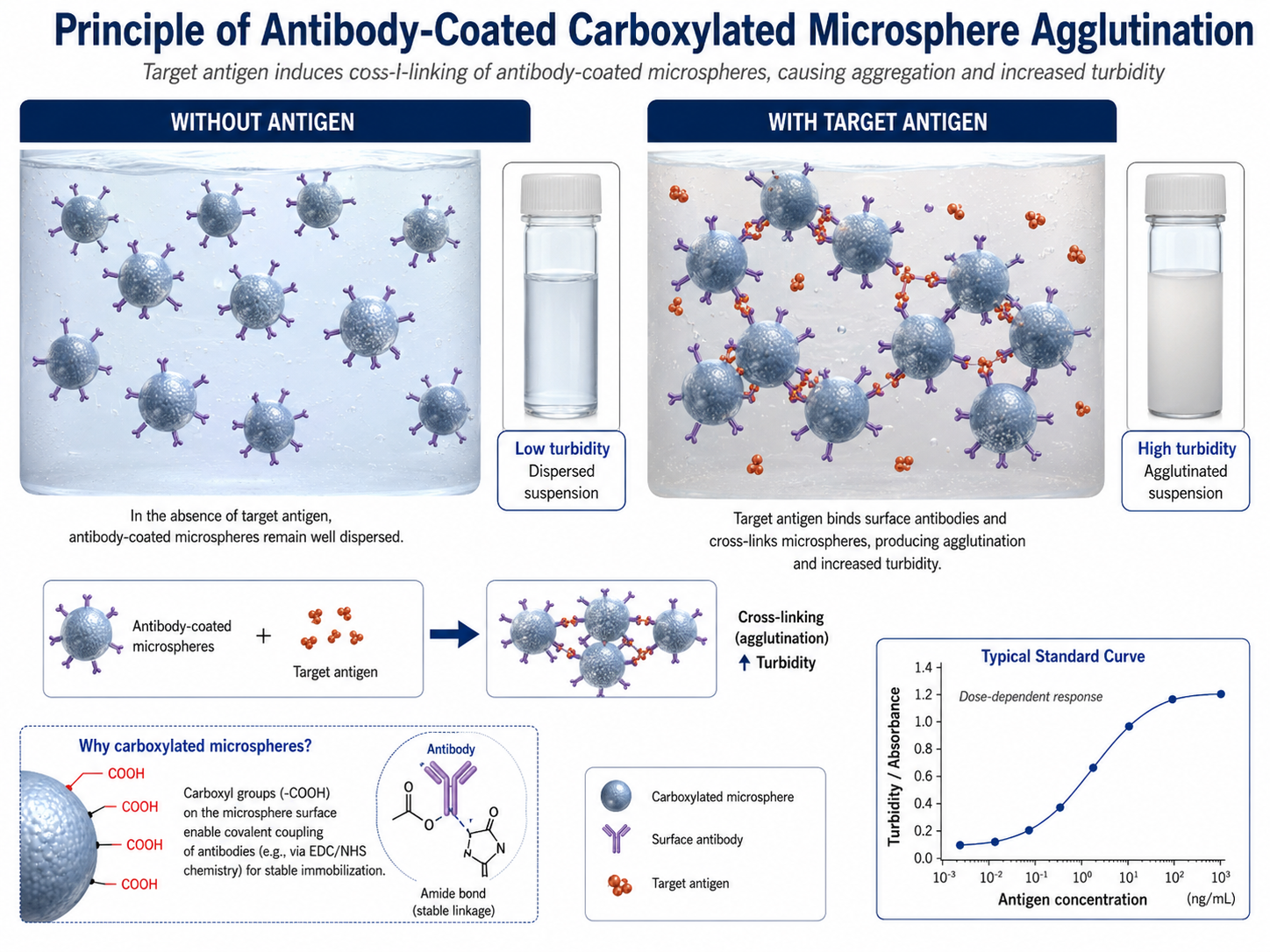 Principle schematics of immunoturbidimetric and latex agglutination assays-3.png