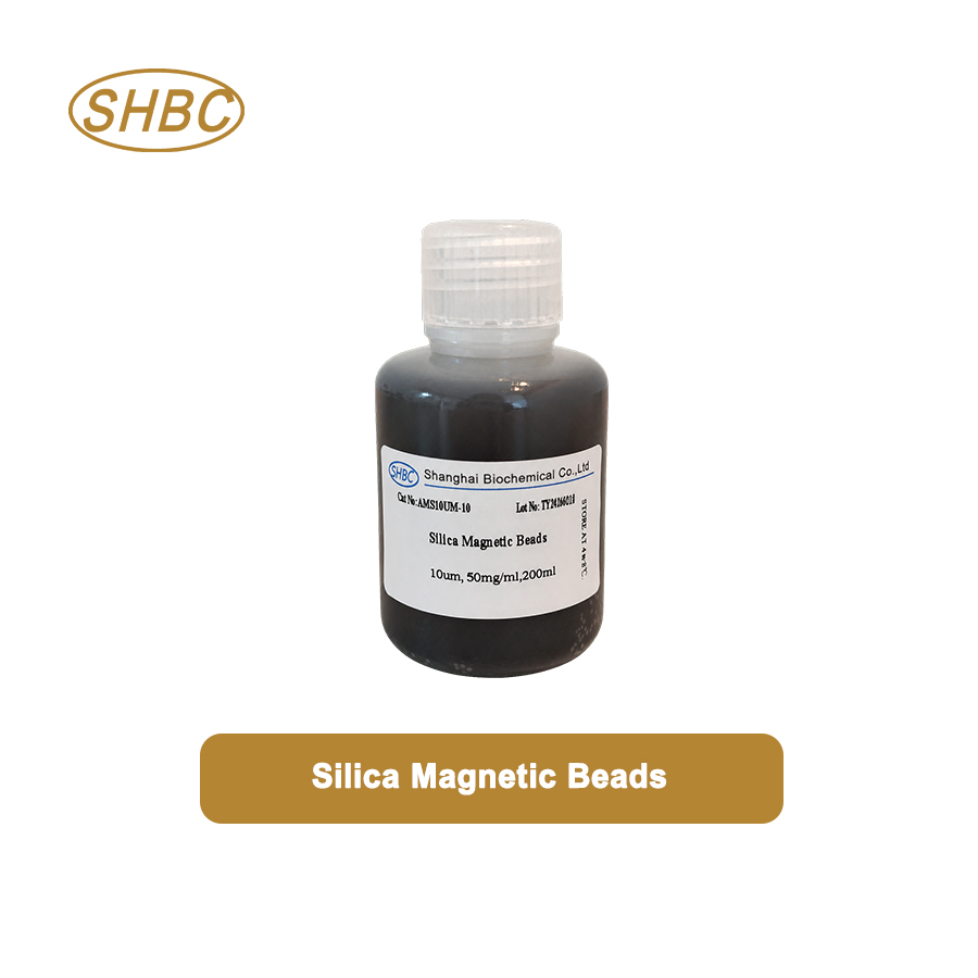 AMS10UM-10 10μm Magnetic Silica Microspheres 5% Suspension