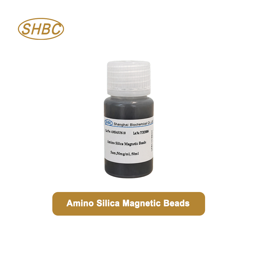 AMSA5UM-10 5μm Amino Magnetic Silica Beads 5% Suspension