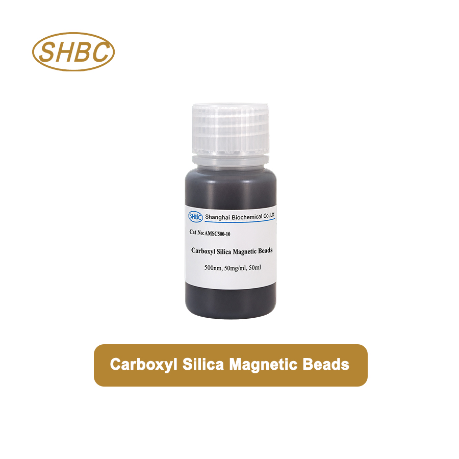 AMSC500-10 500nm Carboxyl Magnetic Silica Beads 5% Suspension
