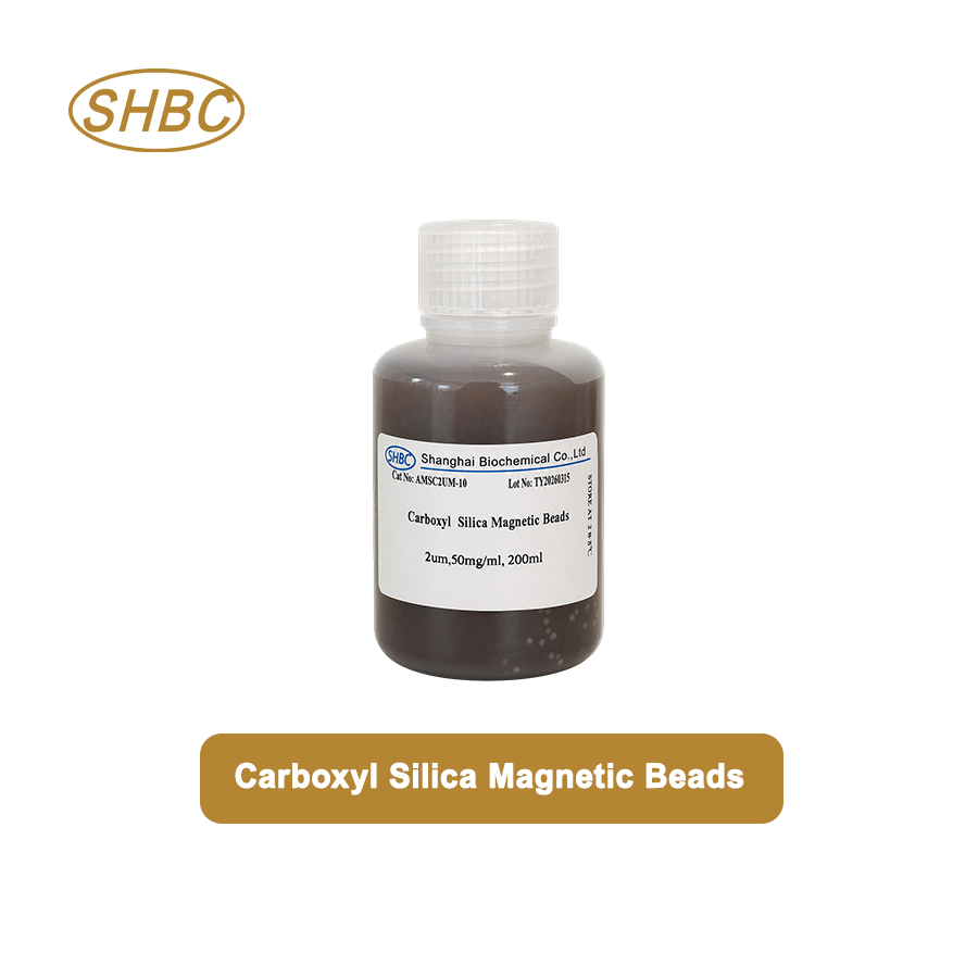 AMSC2UM-10 2μm Carboxyl Magnetic Silica Beads 5% Suspension