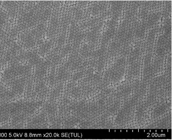 20nm Polystyrene Microspheres PS20-10 5%