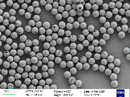 CP800-10 0.8μm Carboxyl Polystyrene Microspheres 10% Solids for Biomolecule Coupling